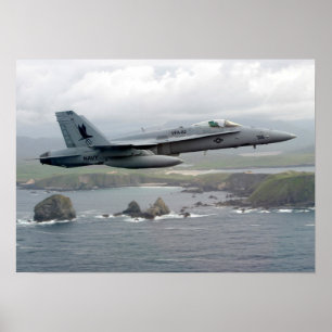 Póster F/A-18C Hornet