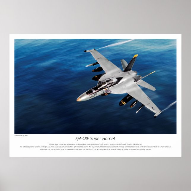 Poster "F/A-18F Super Hornet" (Frente)