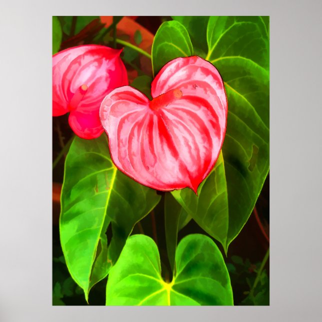 Póster Fábrica de Anthurium (Frente)