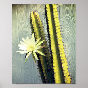 Poster Fábrica de Cactus com Fotografia Flor e Arte Natur