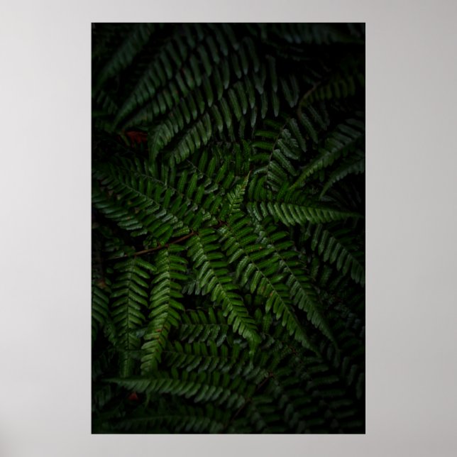 Poster Fábrica de Fern (Frente)