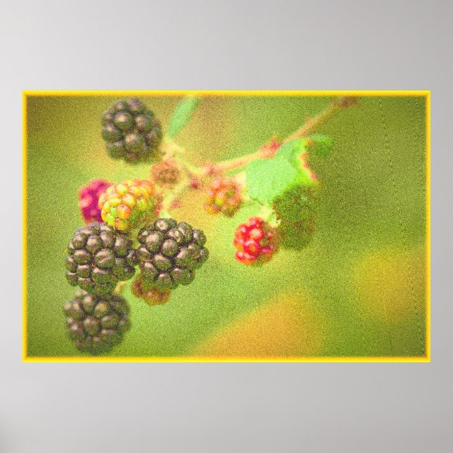 Poster "Fábrica de Frutas Blackberry" Foto Grátis. Compre (Frente)