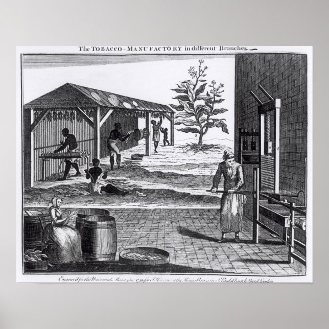 Poster Fabricante de cigarro em diferentes ramos (Frente)