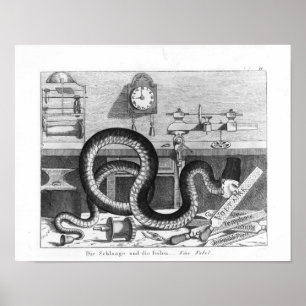 Poster Fábula do cobra e dos arquivos