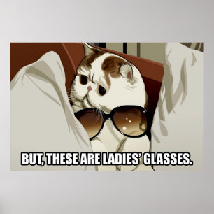 Poster fabuloso do gato dos vidros (pinta. 1)