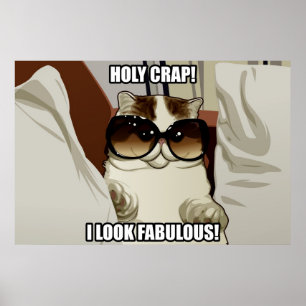 Poster fabuloso do gato dos vidros (pinta. 2)
