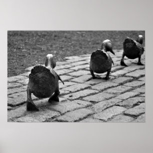 Póster Faça a maneira para patinhos