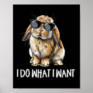Poster Faça O Que Eu Quero Mini Holland Lop Bunny Amante