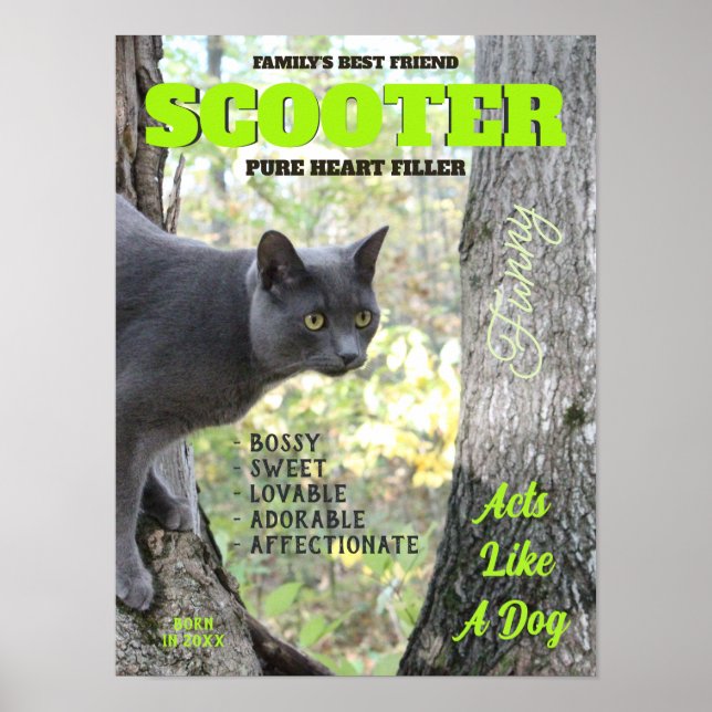 Poster Faça seu Cobrir da revista Kitty Cat (Frente)