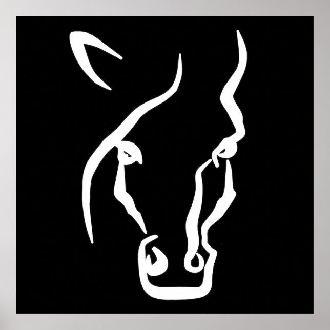 Poster Face de Cavalo Branco (Frente)