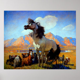 Poster Face De Fumo N C Wyeth Circa 1917