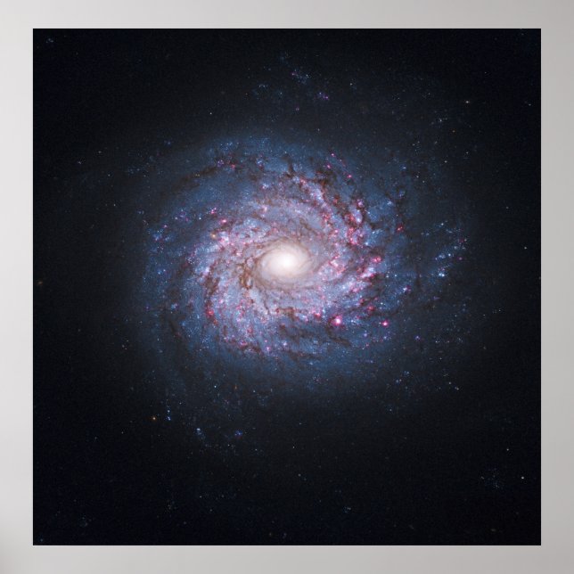 Poster Face na Espiral Galaxy NGC 3982 do Hubble (Frente)