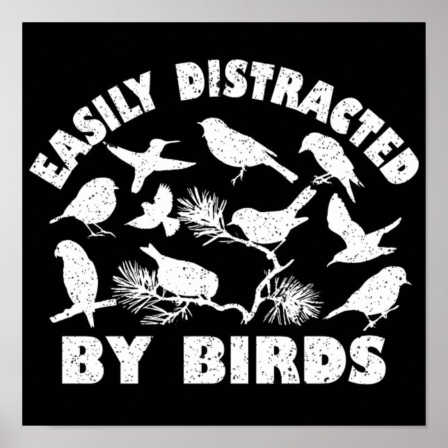 Poster Fácil Distração Por Aves (Frente)
