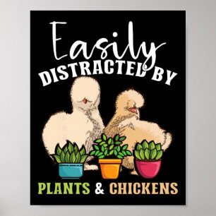 Poster Facilmente Distraído Por Plantas E Galinhas Silkie