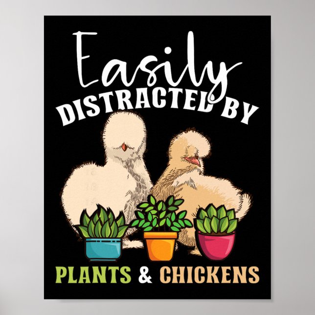 Poster Facilmente Distraído Por Plantas E Galinhas Silkie (Frente)