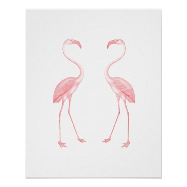 Póster Facing Flamingos (Frente)