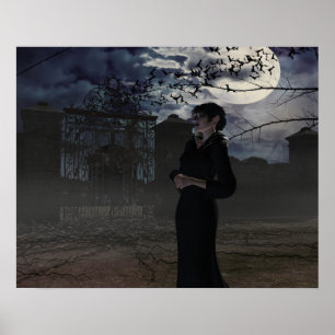 Poster Fada Escura à Lua