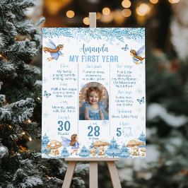 Poster Fada Winter Wonderland Primeiro Ano Foto Milestone