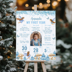 Poster Fada Winter Wonderland Primeiro Ano Foto Milestone