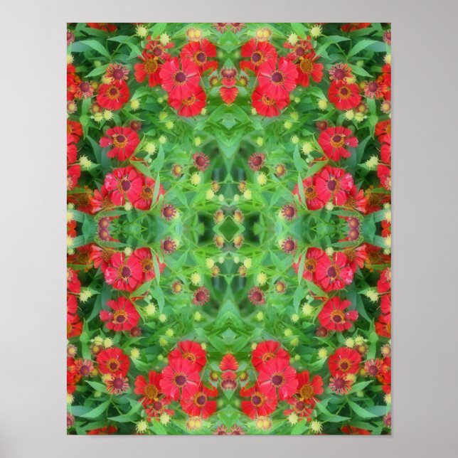 Poster Fading Red Zinnia Flowers Abstrato Patterno (Frente)