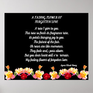 POSTER FADOR FADRADO ESQUECEU AMOR 