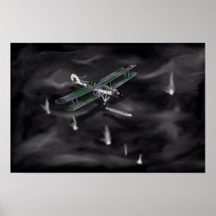 Póster Fairey Swordfish II "Silverfish"