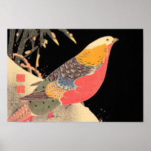 Poster Faisão dourado na arte do pássaro de Itô Jakuch