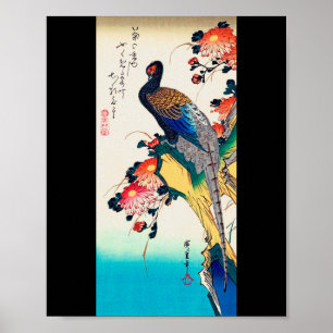 Poster Faisão e crisântemo, Hiroshige, Ukiyo-e