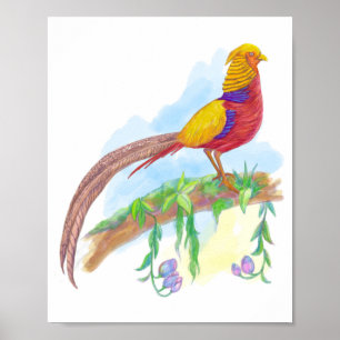 Poster Faisão Ouro de aves