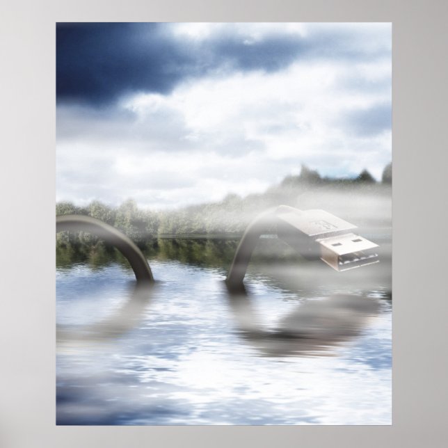 Póster Fake Ness (Frente)