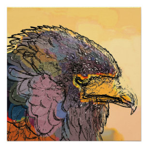 PÓSTER FALCÃO