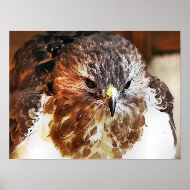 PÓSTER FALCÃO (Frente)