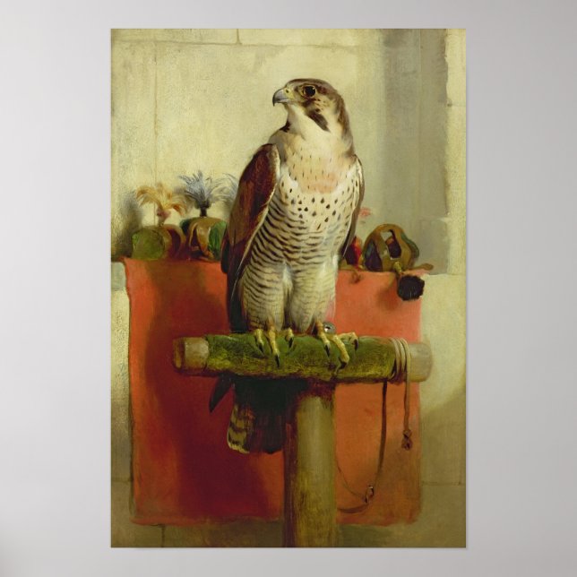 Póster Falcão, 1837 (Frente)