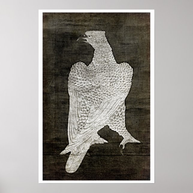 Poster Falcão Branco - 1644 (Frente)