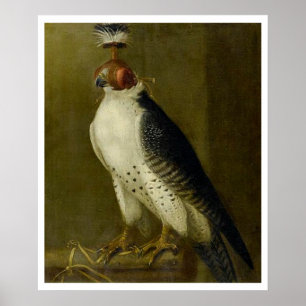 Póster Falcão da caça - século XVII