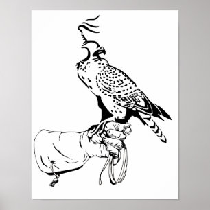 Poster Falcão na luva