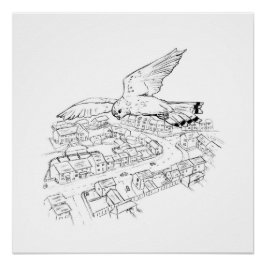 Póster Falcão-peregrino sobre a cidade (parte 2 de um con