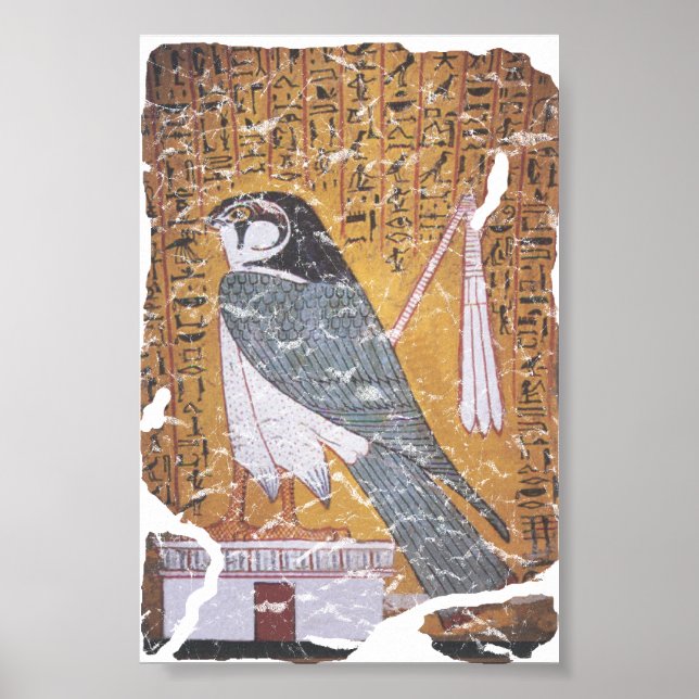 Poster Falcão preto (Frente)