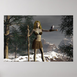 Poster Falcon Heights