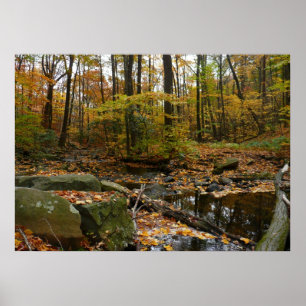 Póster Fall Creek com Reflexão no Laurel Hill Park
