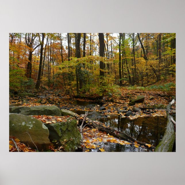 Póster Fall Creek com Reflexo no Laurel Hill Park (Frente)