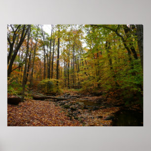 Poster Fall Creek em Laurel Hill State Park na Pensilvâni