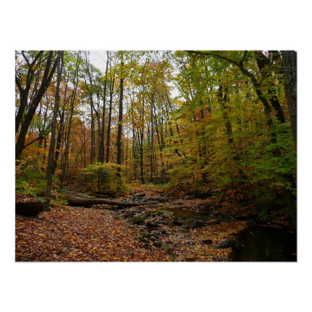 Póster Fall Creek no Laurel Hill State Park Pensilvânia (Frente)