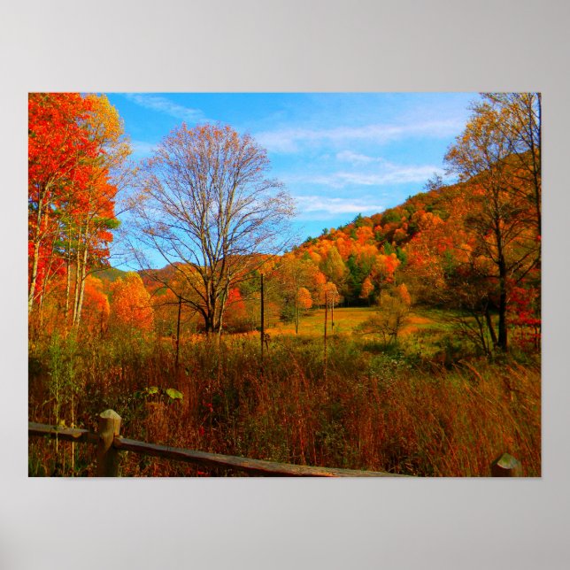 Poster Fall de Fantasia (Frente)