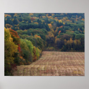 Poster Fall Foliage Mdue Field Orton Efeito
