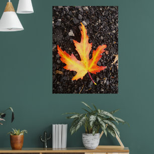 Poster Fall Leaf Bright versão da imagem. Restiq.