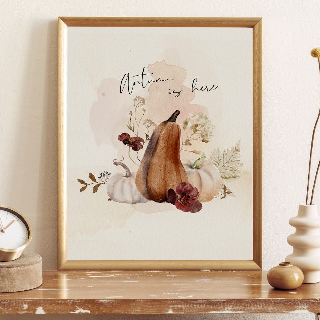 Poster Falla Botânica de Abóbora (Criador carregado)