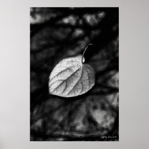 Póster Fallen Leaf