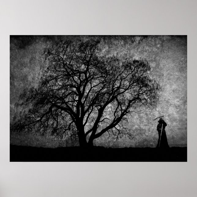 Póster Falln Grim Reaper - Limites de Arte Original Entre (Frente)