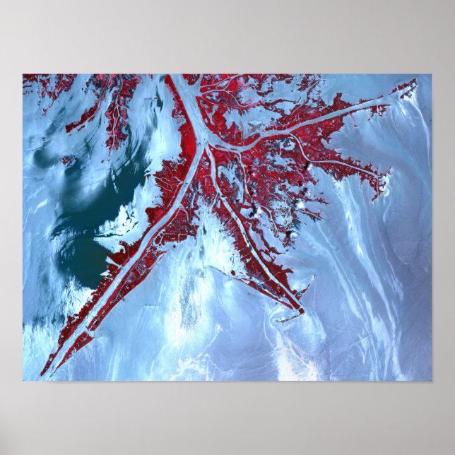 Póster Falsa cor satélite (Frente)